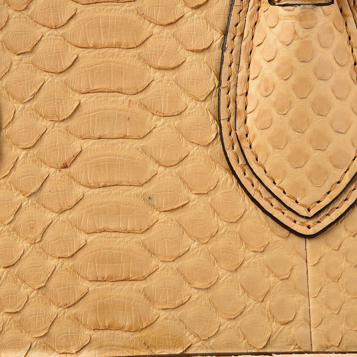Celine Python Mini Luggage Beige 13 of 13