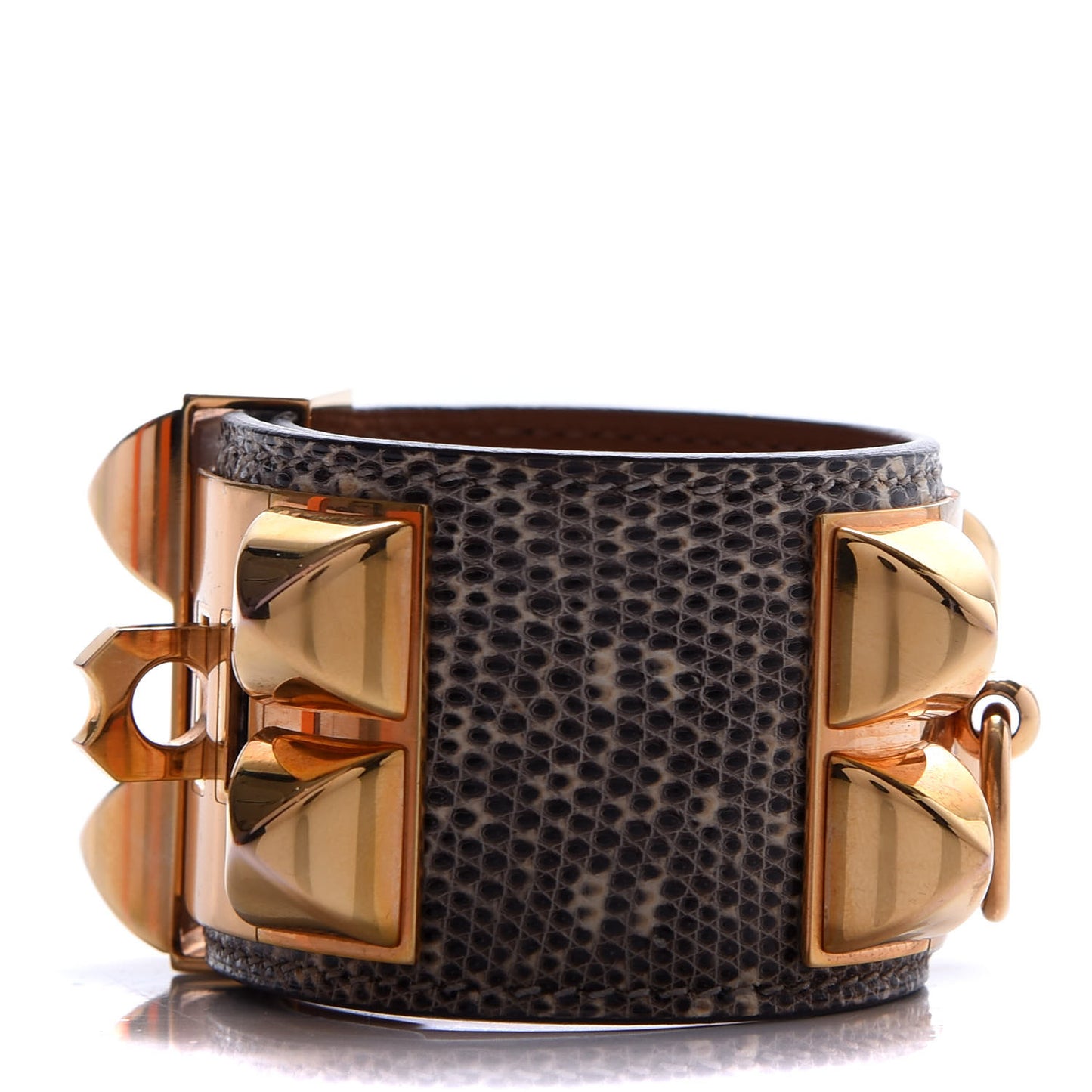 Lizard Collier De Chien CDC Bracelet T2 Ombre