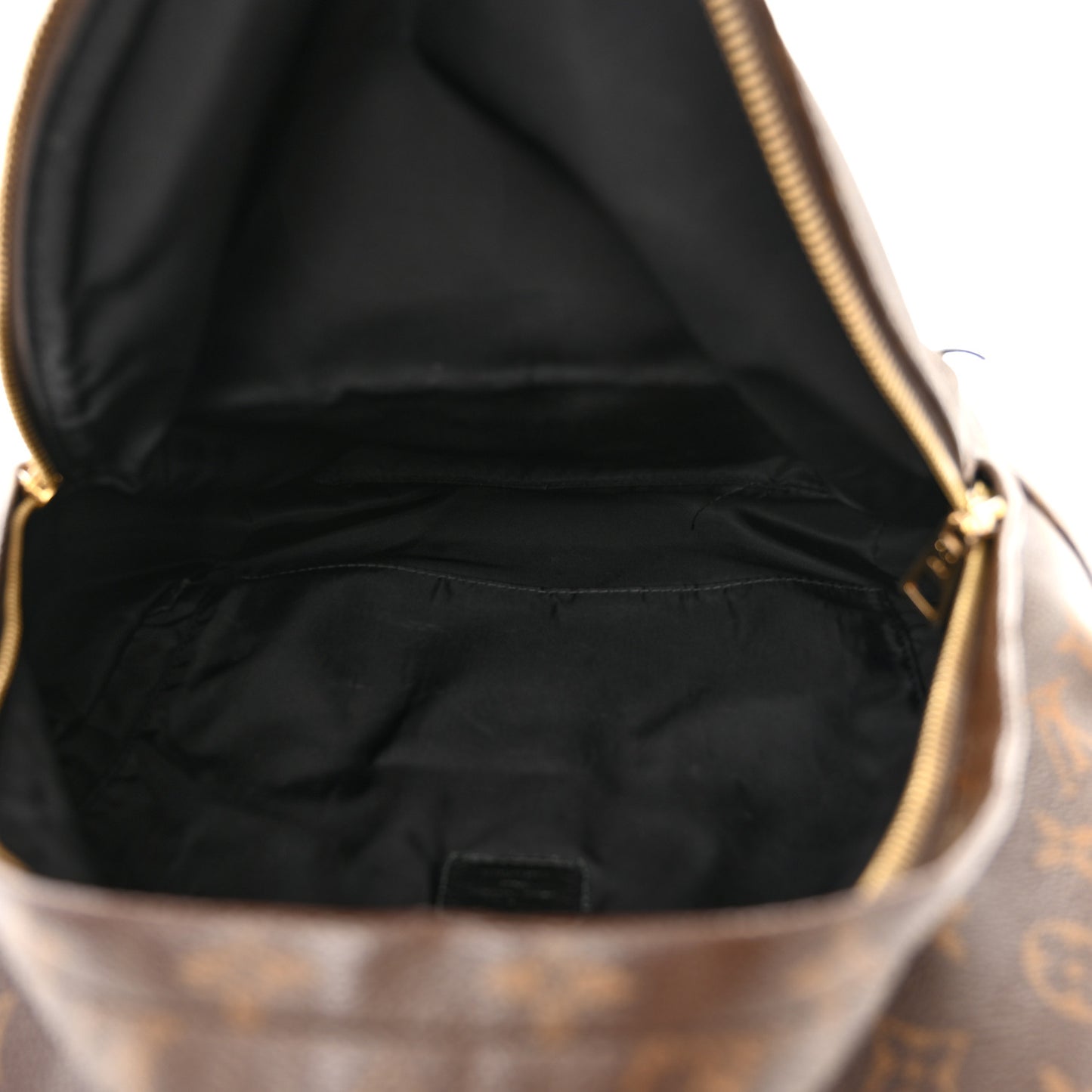 Monogram Palm Springs Backpack MM