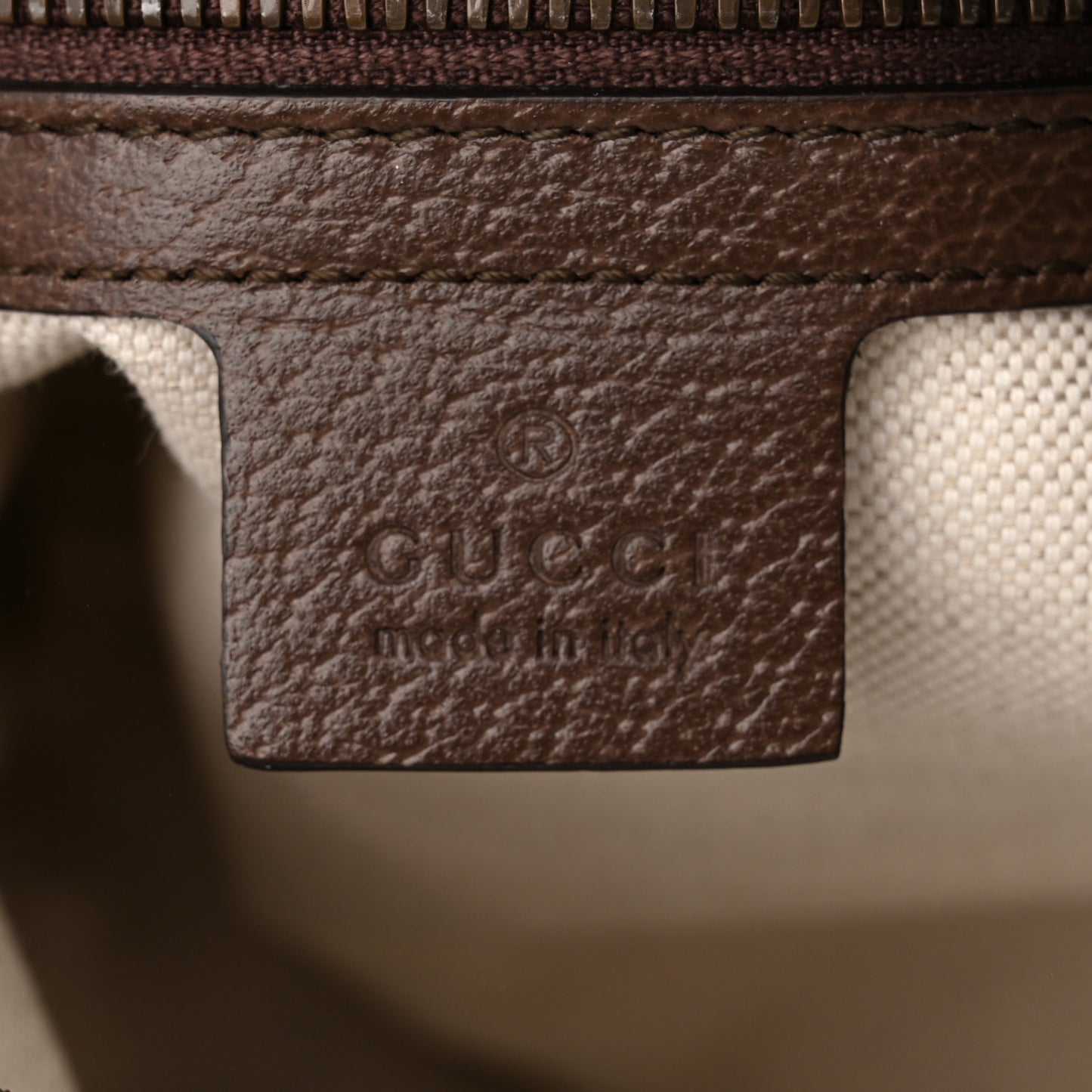 GG Supreme Monogram Web Small Ophidia Half Moon Hobo Brown