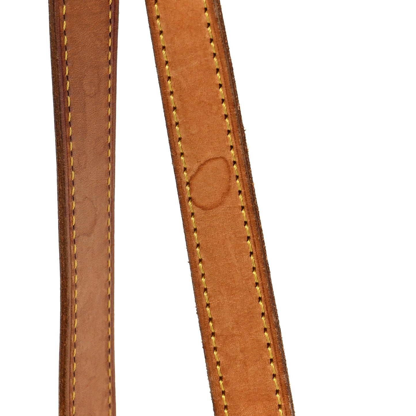 Monogram Ellipse GM Shopping Bag
