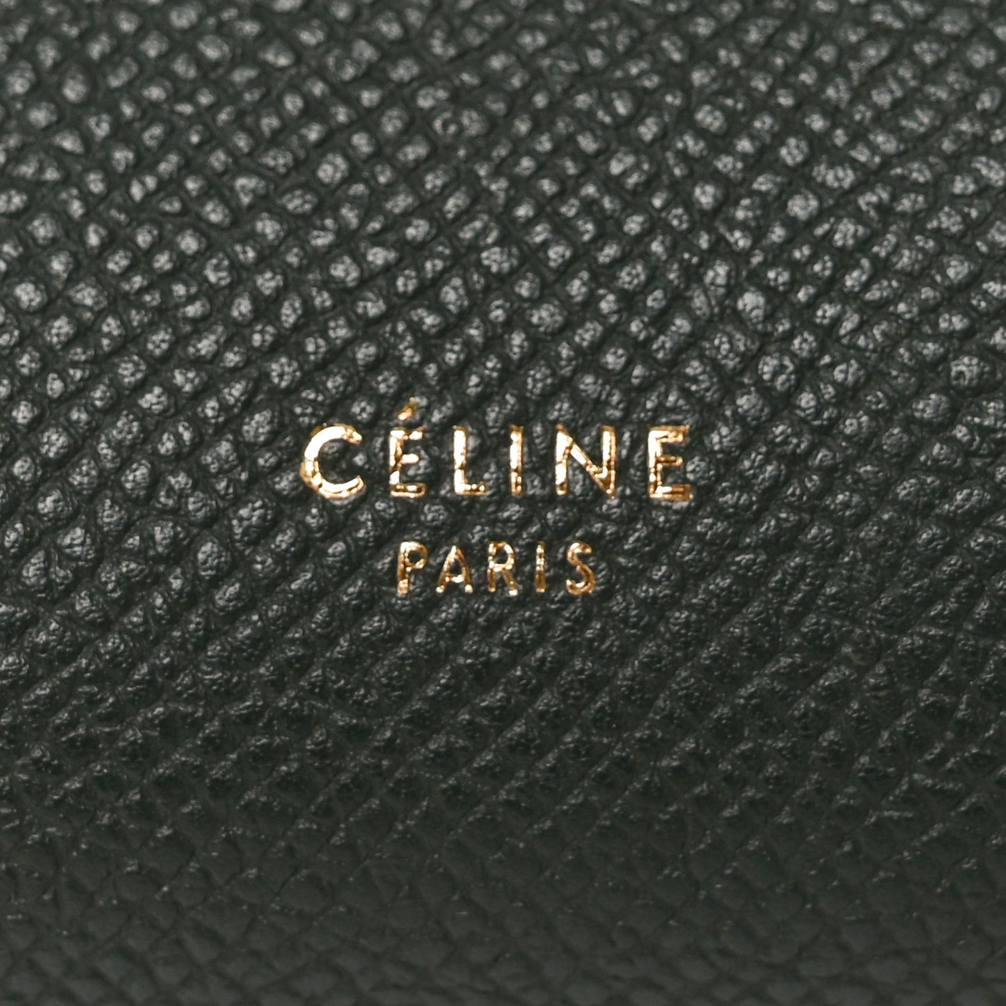 Grained Calfskin Mini Belt Bag Amazone