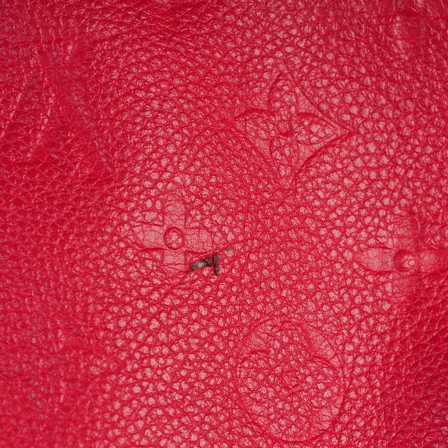 Louis Vuitton Empreinte Lumineuse PM Jaipur 9 of 12