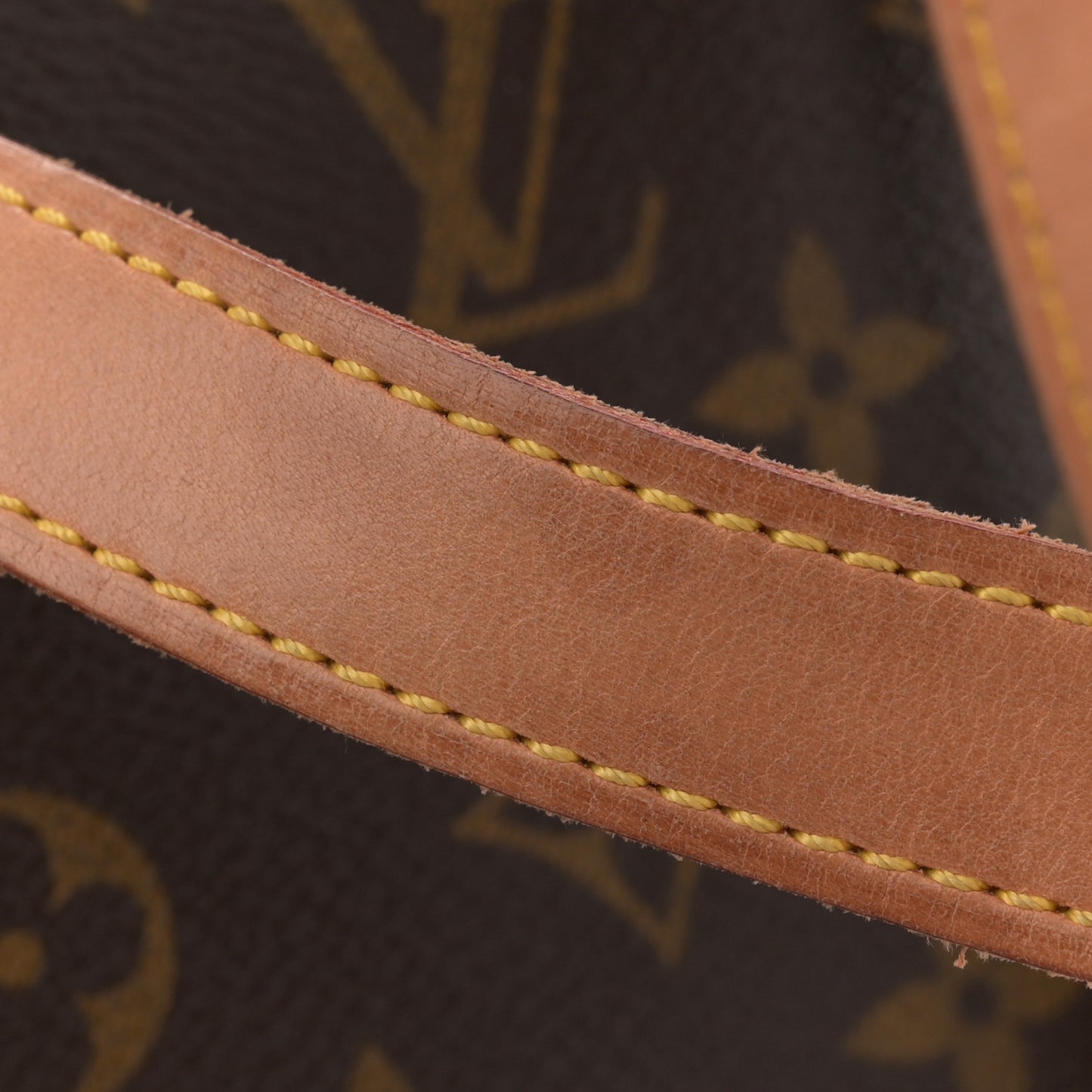 Monogram Cabas Mezzo