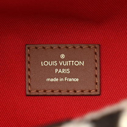 Louis Vuitton Monogram Teddy Bumbag 6 of 9