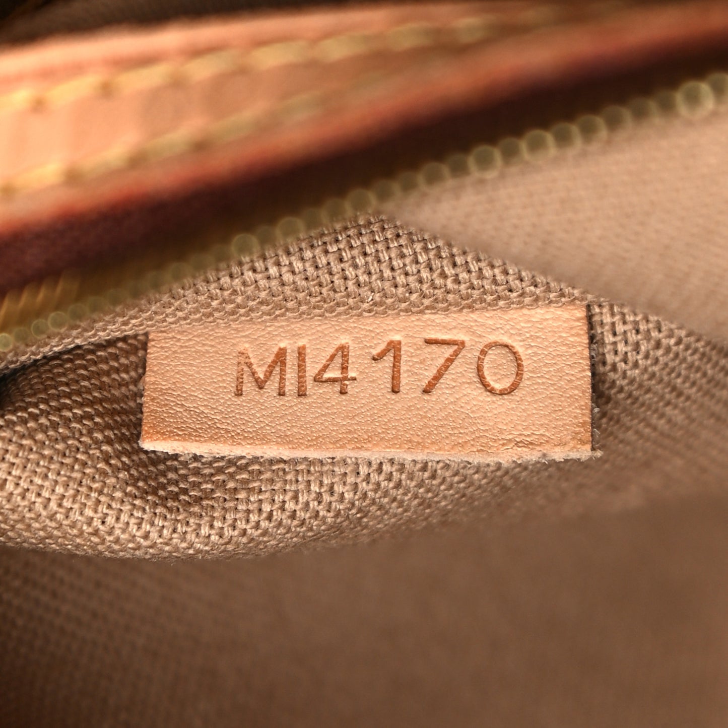 Monogram Delightful MM