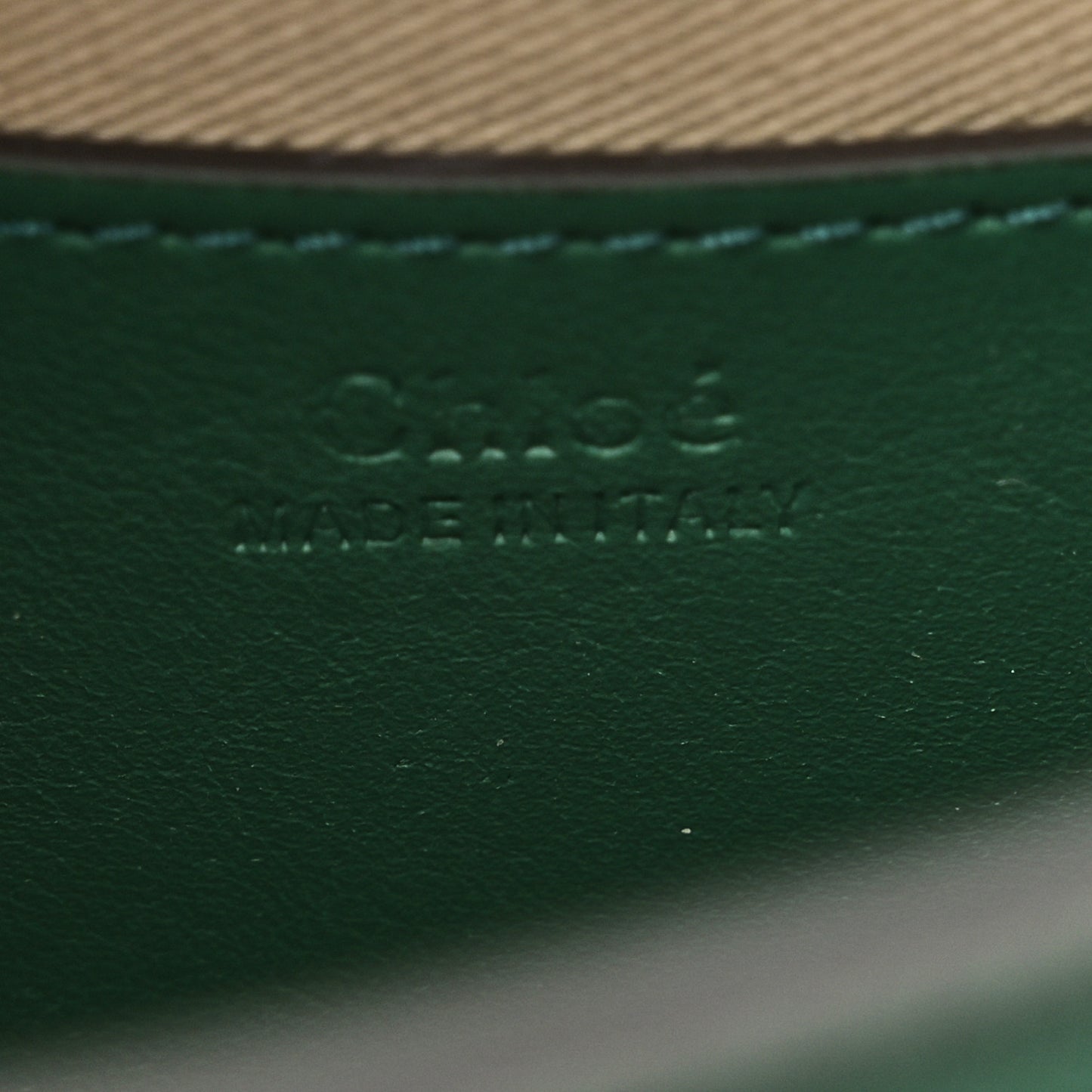 Calfskin Crocodile Embossed Small Tess Bag Woodsy Green