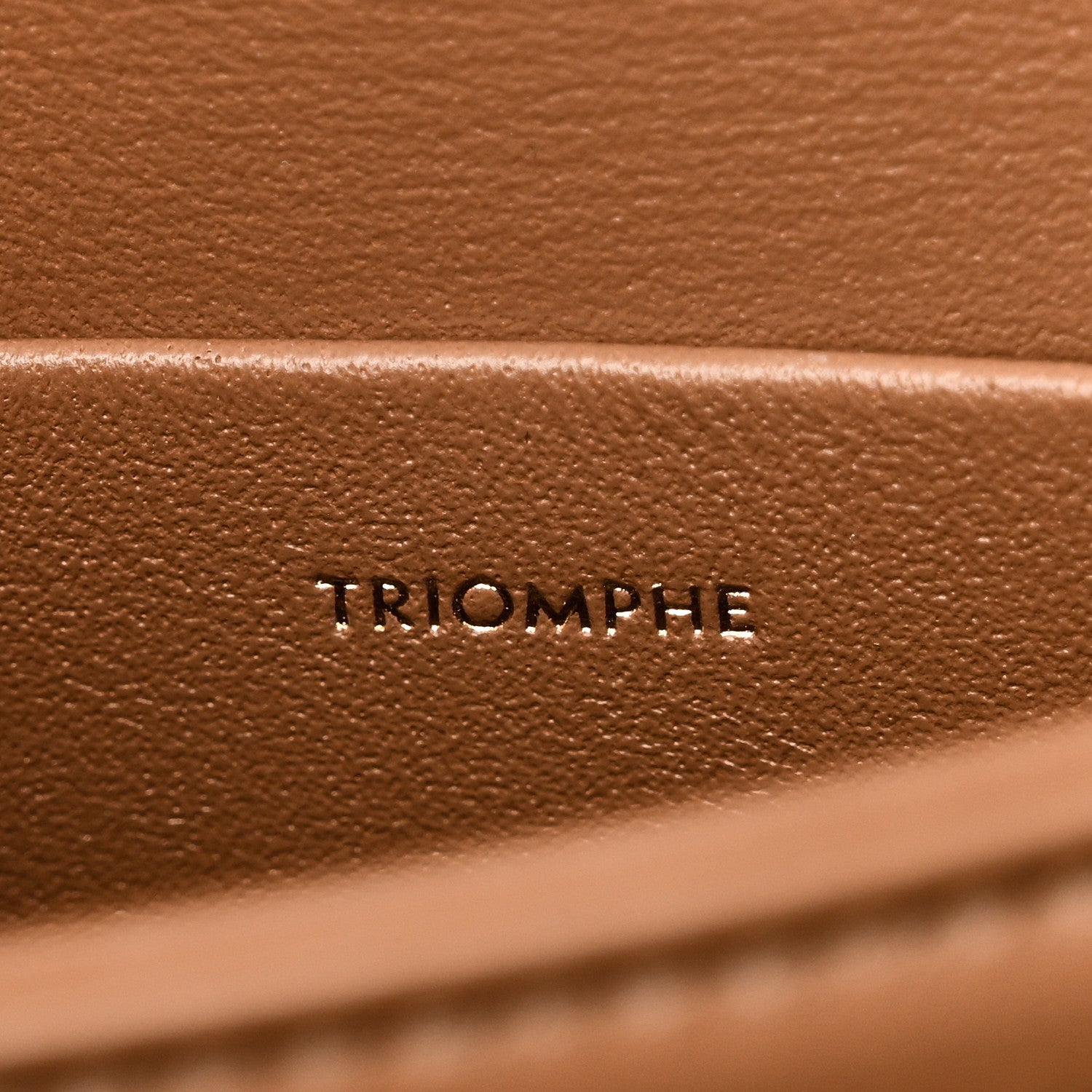 Celine Shiny Calfskin Teen Triomphe Bronze 7 of 11