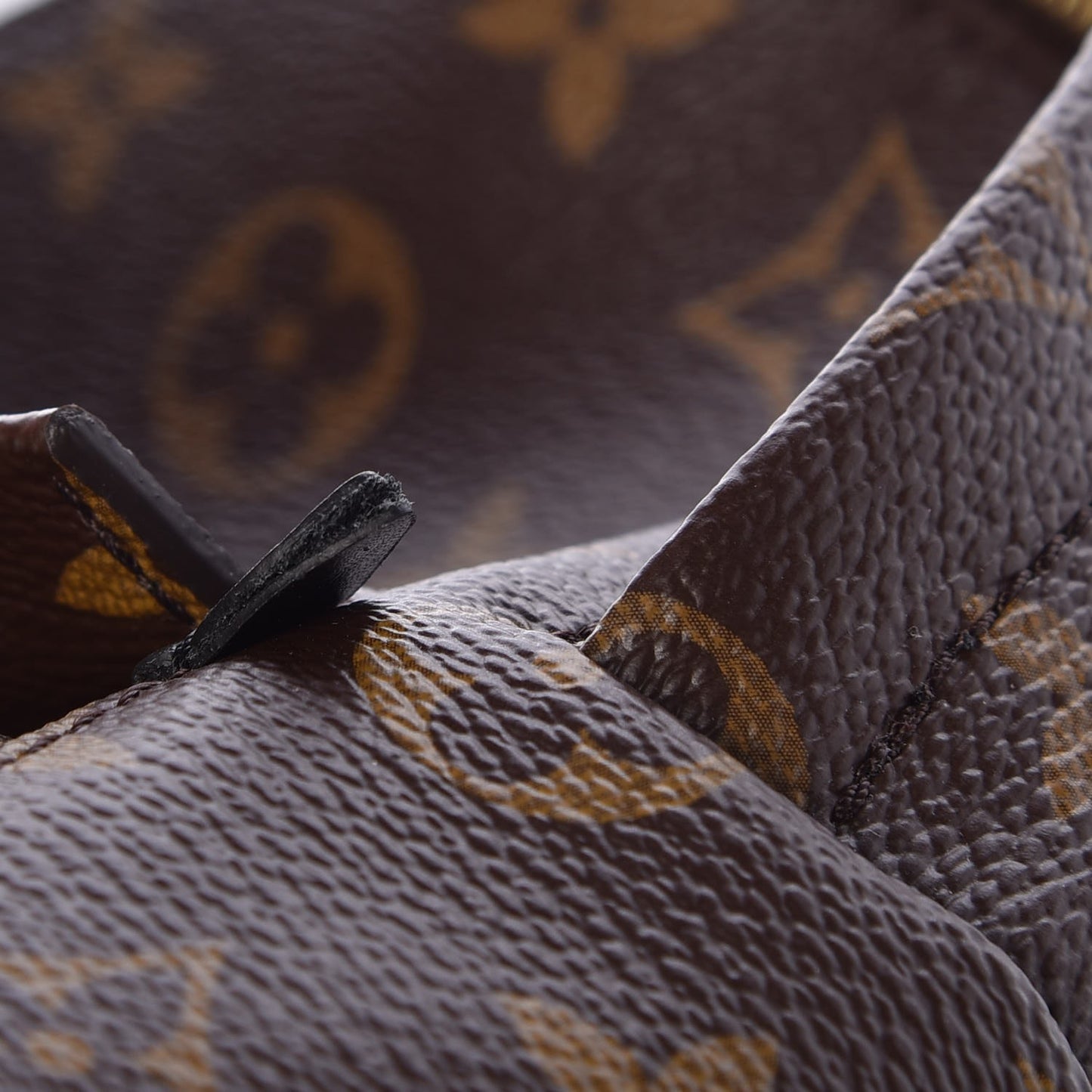 Monogram Palm Springs Backpack Mini