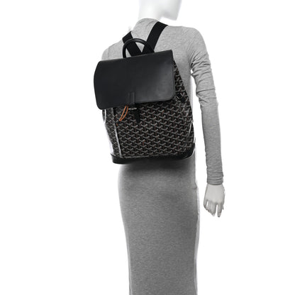 Goyard Goyardine Calfskin Alpin MM Backpack Black 2 of 10