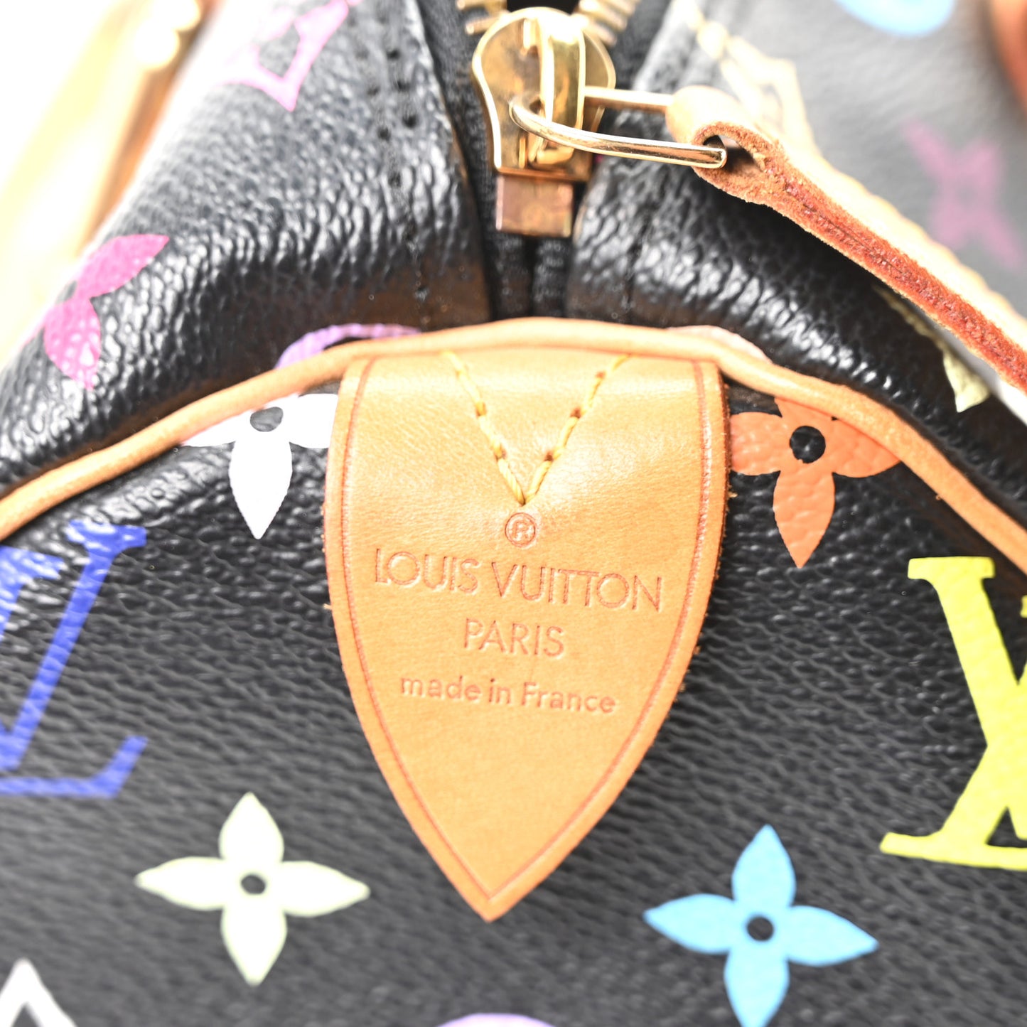 Monogram Multicolor Speedy 30 Black