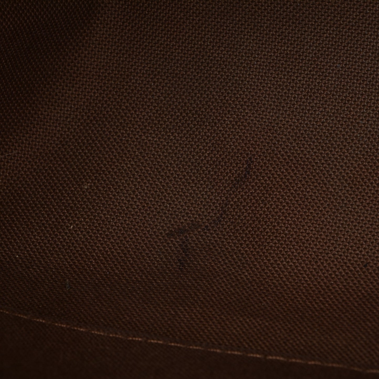 Monogram Sully MM
