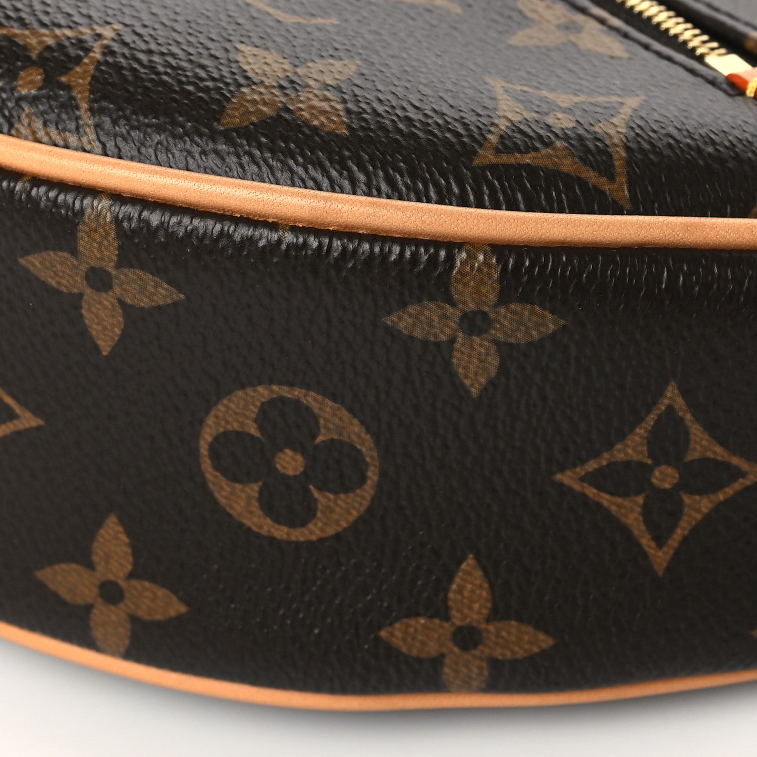 Louis Vuitton Monogram Loop 9 of 9