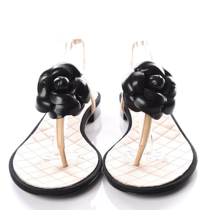 Chanel Lambskin Camellia Thong Sandals 39 Beige Black 3 of 8