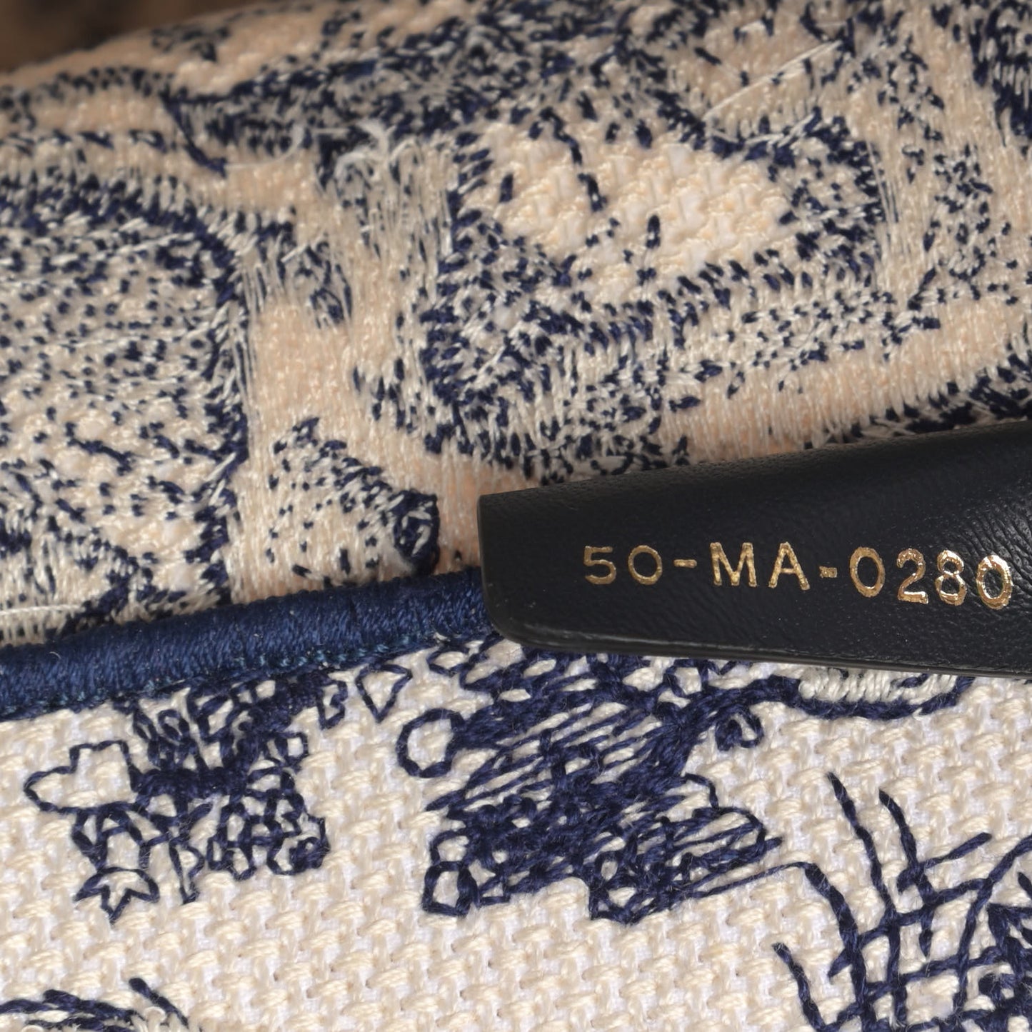 Canvas Embroidered Medium Dioriviera Toile De Jouy Book Tote Blue