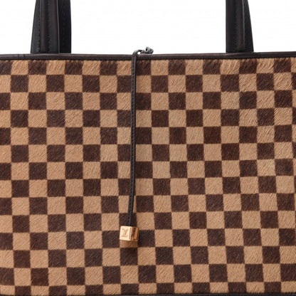Louis Vuitton Damier Calf Hair Sauvage Impala 8 of 10