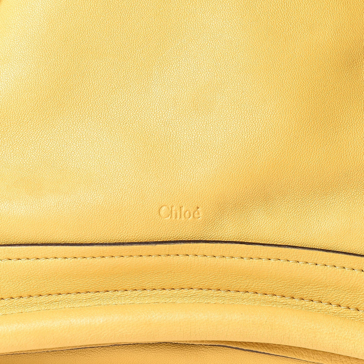 Chloe Calfskin Medium Military Paraty Citrus Grove 8 of 16