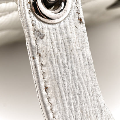 Christian Dior Metallic Grained Calfskin Cannage Small Lucky Badges My Lady Dior Silver 14 of 19