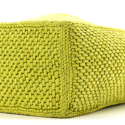 Loewe X PAULA'S IBIZA Raffia Font Tote Meadow Green 9 of 9