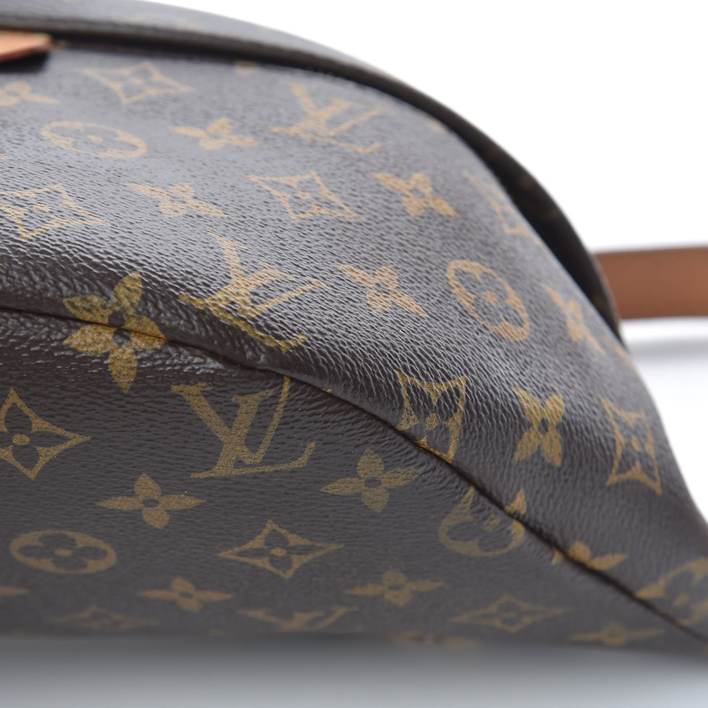Monogram Bumbag