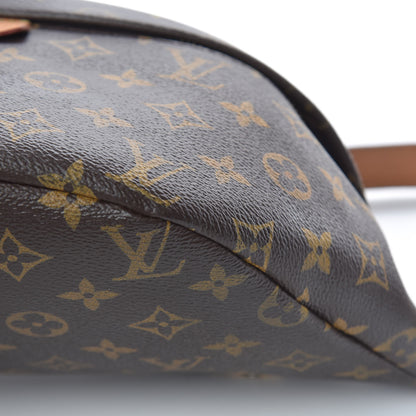 Louis Vuitton Monogram Bumbag 13 of 14