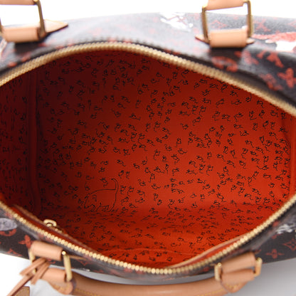 Louis Vuitton Catogram Speedy Bandouliere 30 Marron 4 of 9