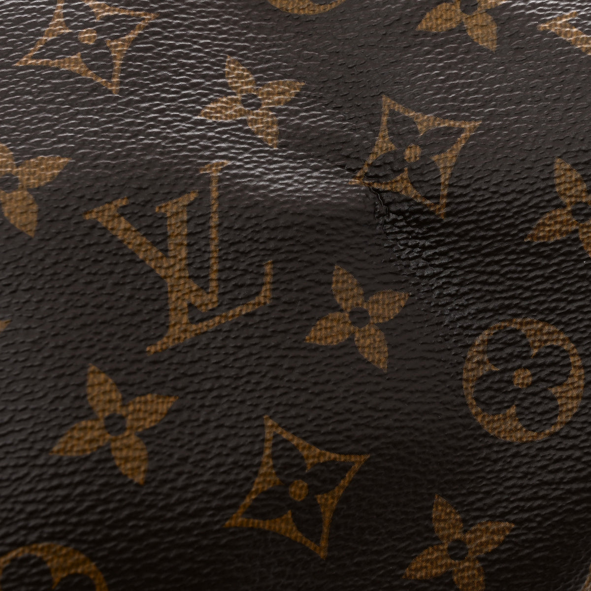Monogram Speedy Soft 30 Dark