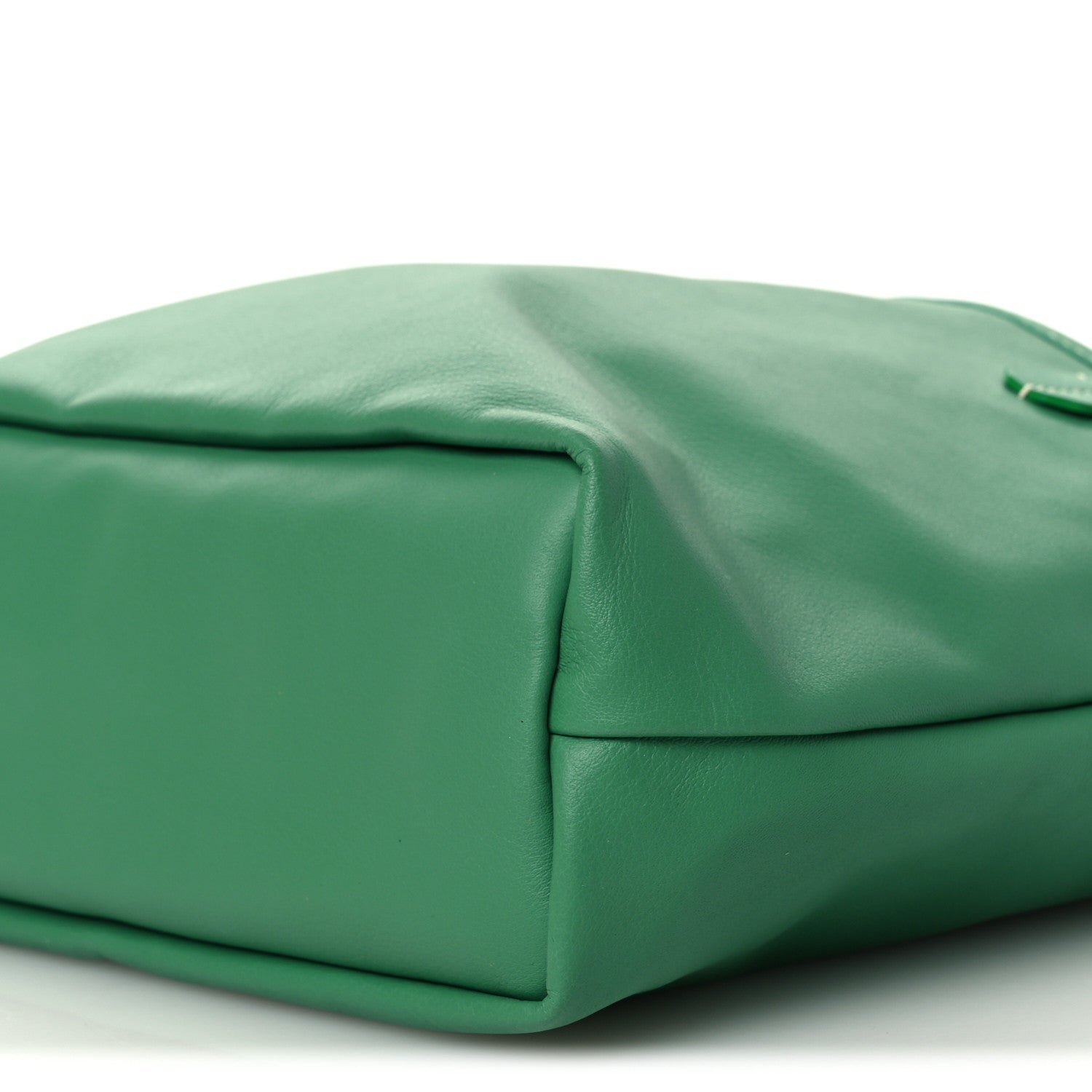 Goyard Goyardine Reversible Mini Anjou Meadow Green 18 of 18