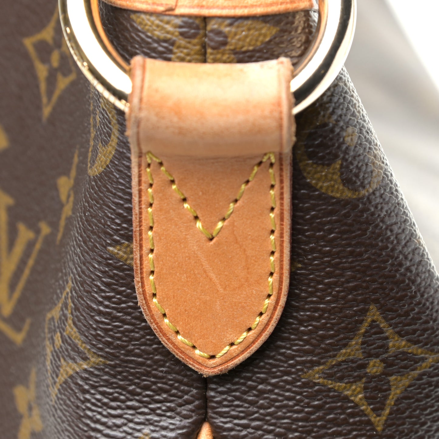 Monogram Delightful PM