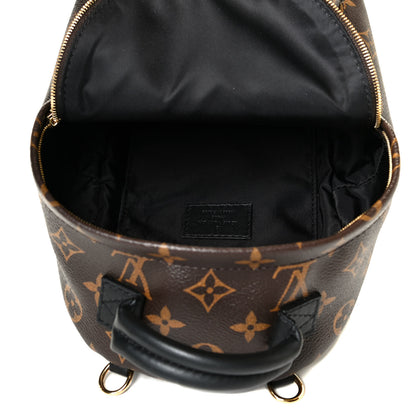 Louis Vuitton Monogram Palm Springs Backpack Mini 4 of 5