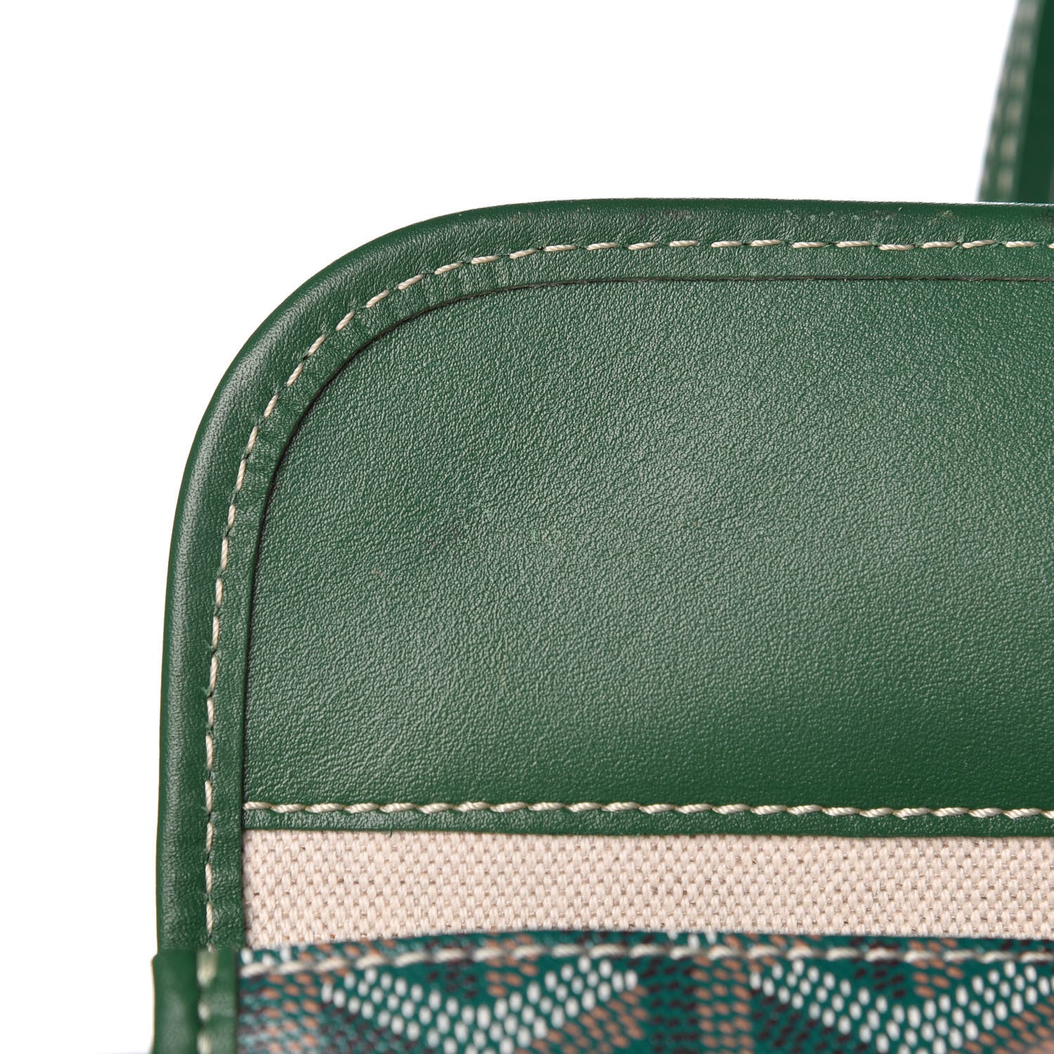 Goyard Goyardine Saint Louis PM Green 12 of 12