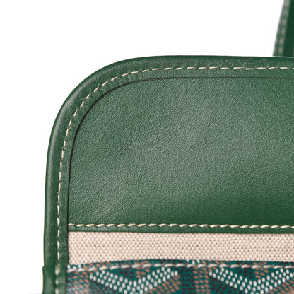 Goyard Goyardine Saint Louis PM Green 12 of 12