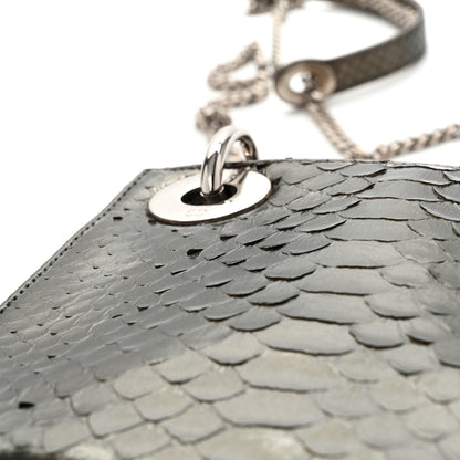 Christian Dior Metallic Snakeskin Medium Lady Dior Silver 12 of 13