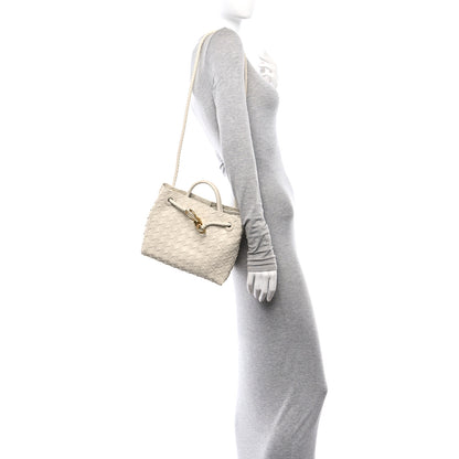 Bottega Veneta Nappa Intrecciato Small Andiamo Shoulder Bag Sea Salt 2 of 10