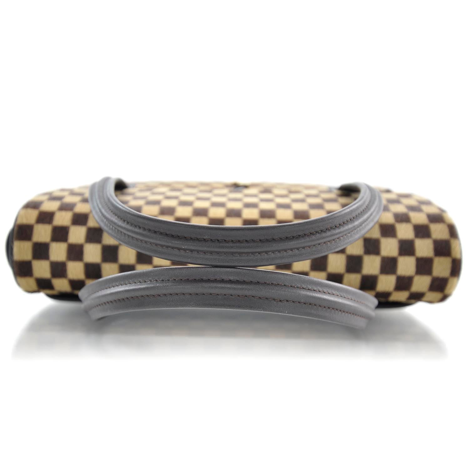 Louis Vuitton Damier Sauvage Lionne 5 of 9