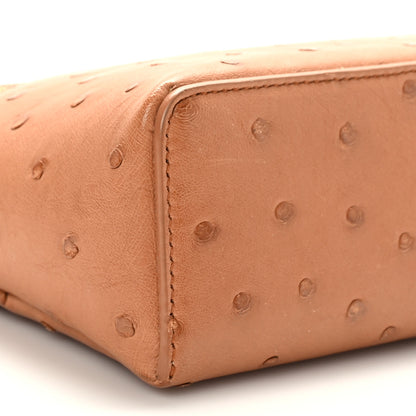 Loro Piana Ostrich L19 Extra Pocket Pouch Cognac 7 of 8