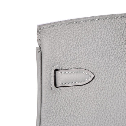 Hermes Togo Birkin 25 Gris Mouette 14 of 35