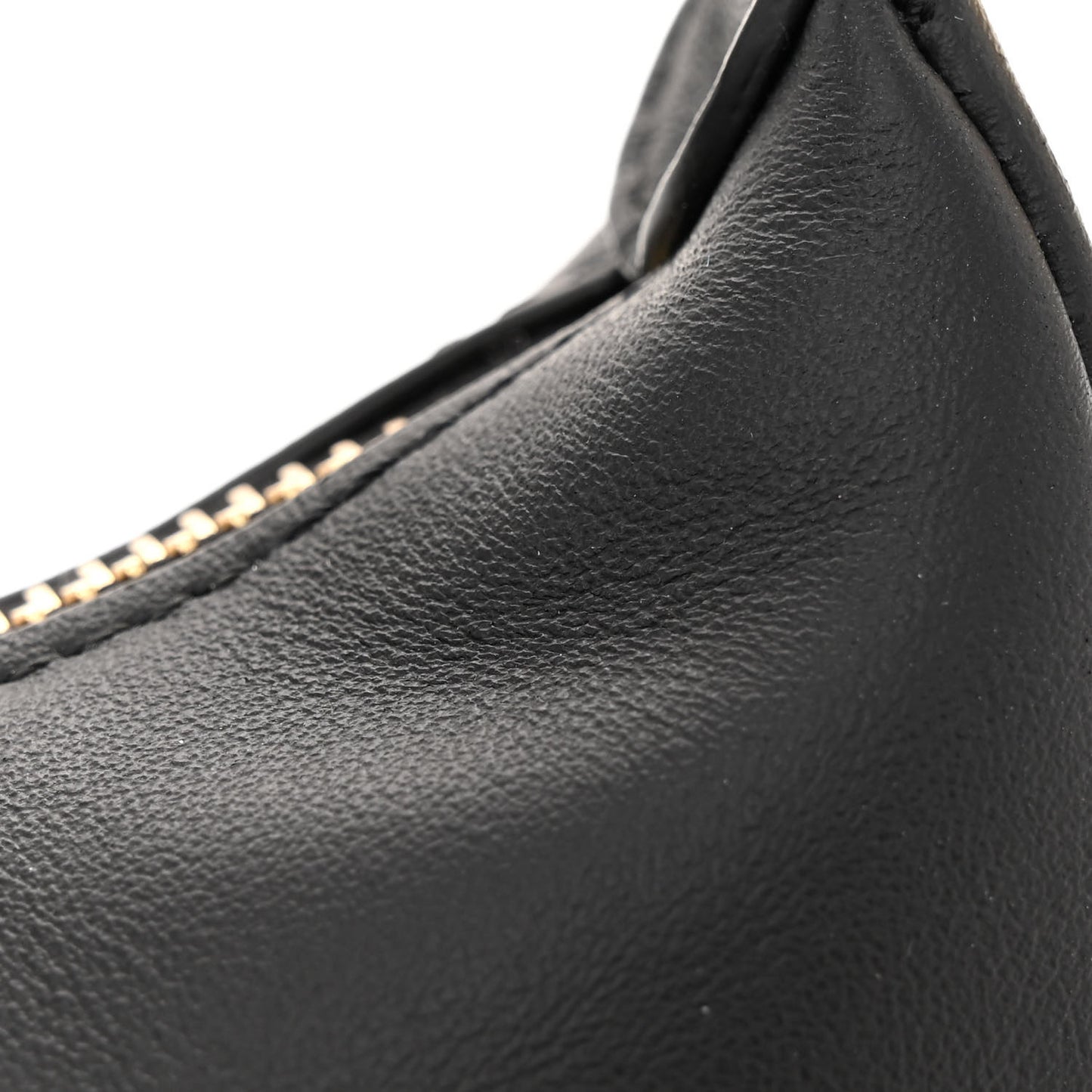 Vitello Grace Matte Nano Fendigraphy Hobo Charm Black
