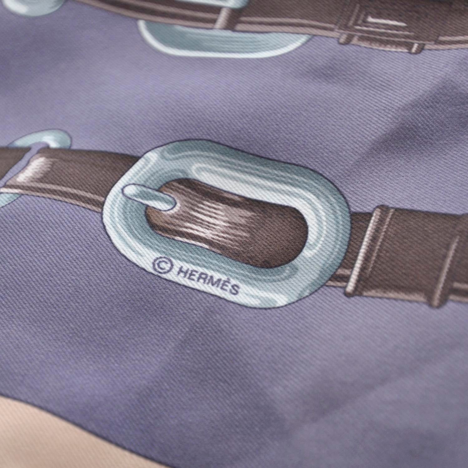 Hermes Silk Coaching Scarf 90 7 of 8