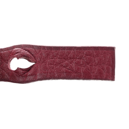 Goyard Goyardine Sac Hardy Pet Carrier PM Burgundy 8 of 14