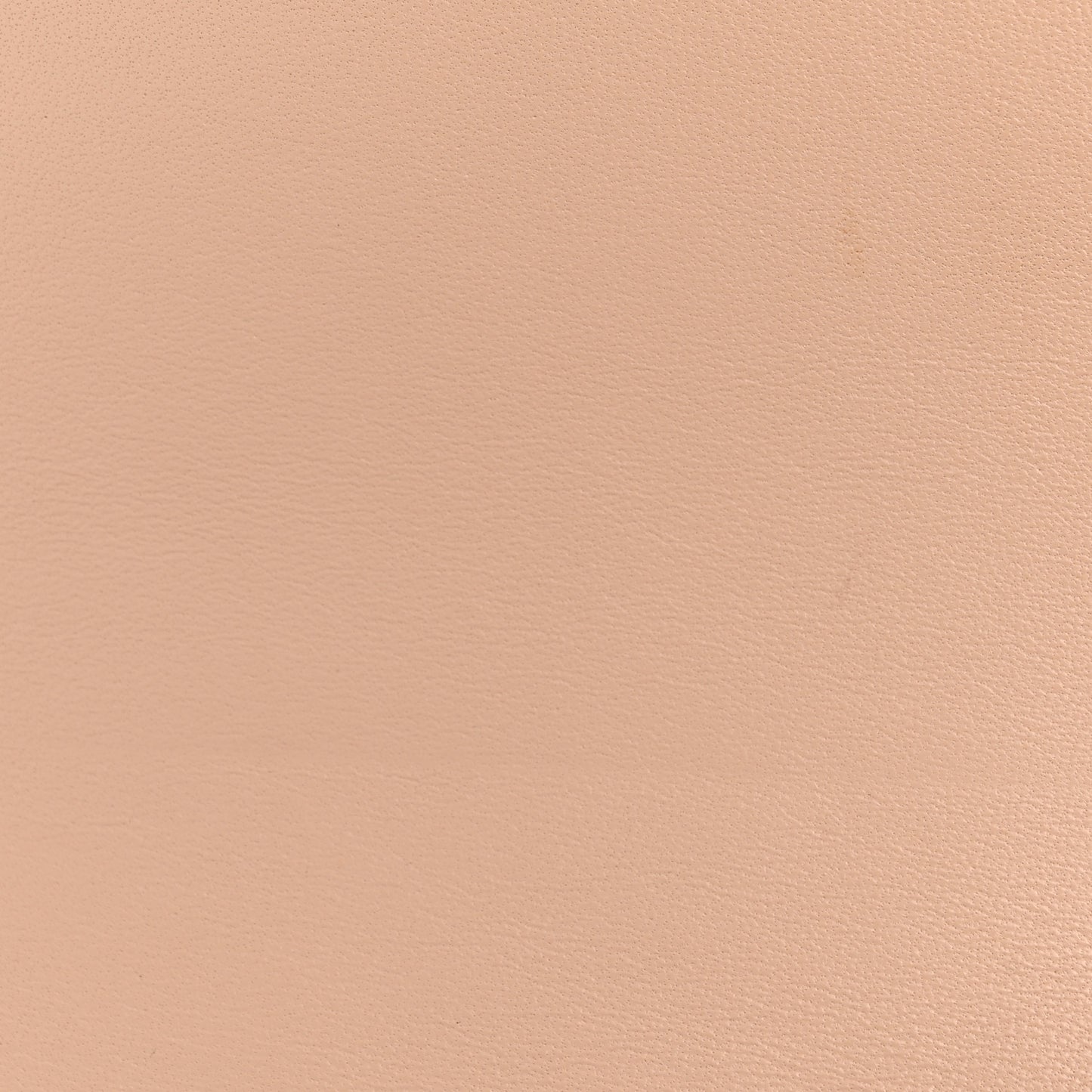 Grained Calfskin Medium Trotteur  Powder