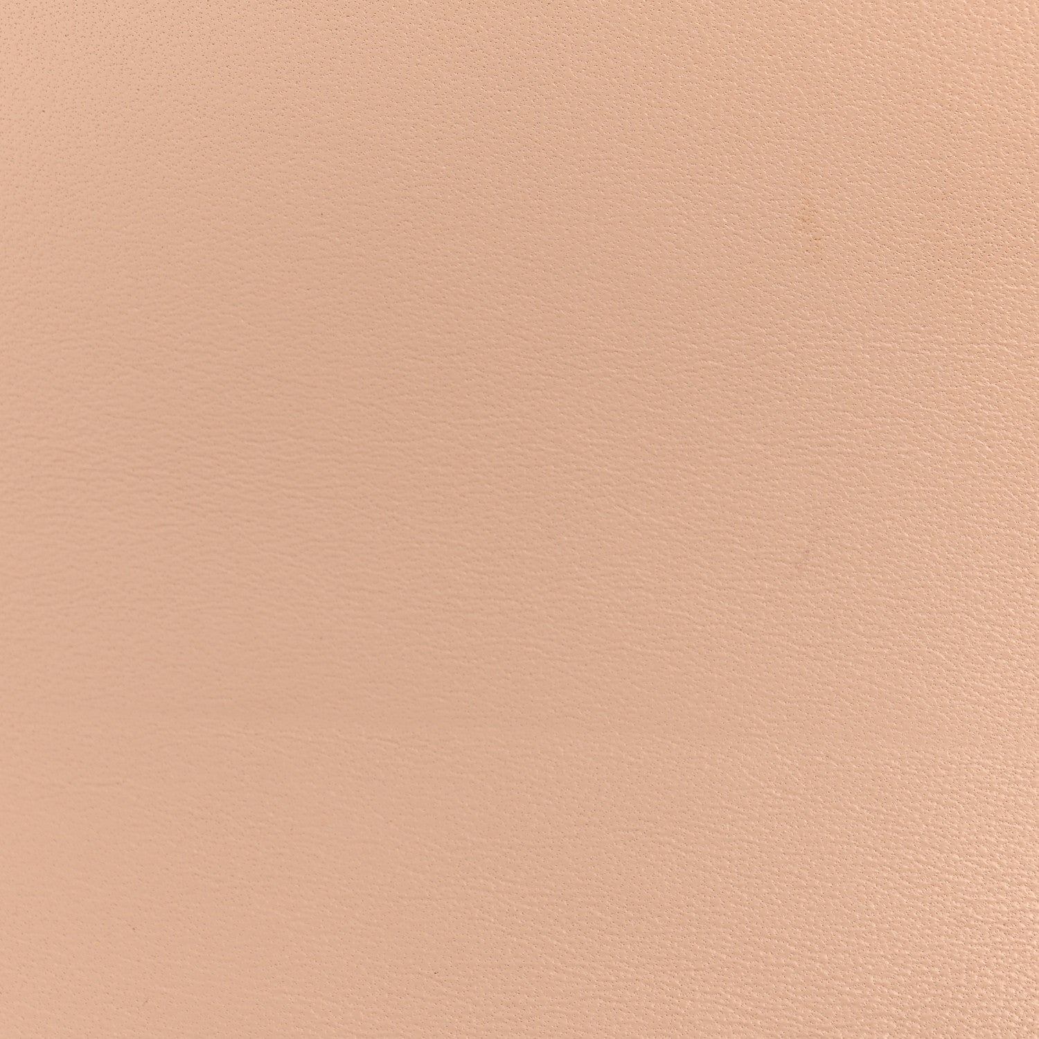 Celine Grained Calfskin Medium Trotteur  Powder 11 of 13