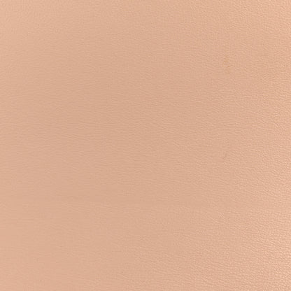 Celine Grained Calfskin Medium Trotteur  Powder 11 of 13