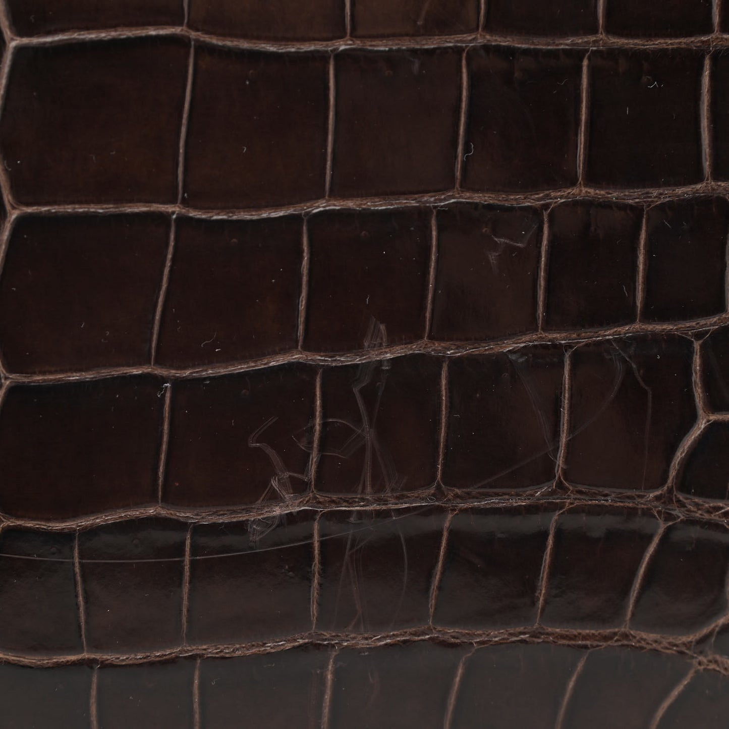 Shiny Crocodile Kelly Sellier 32 Havane