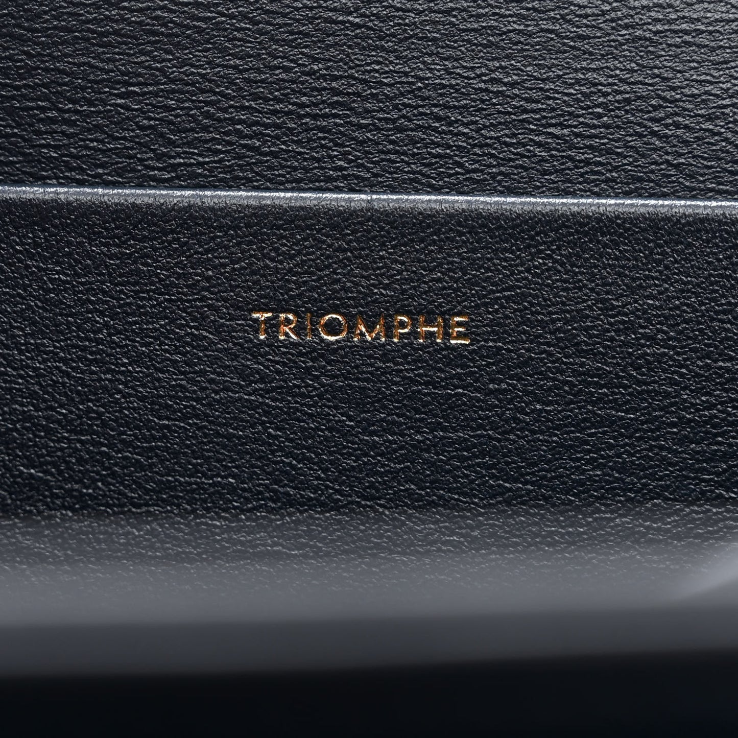 Lizard Medium Triomphe Navy Blue
