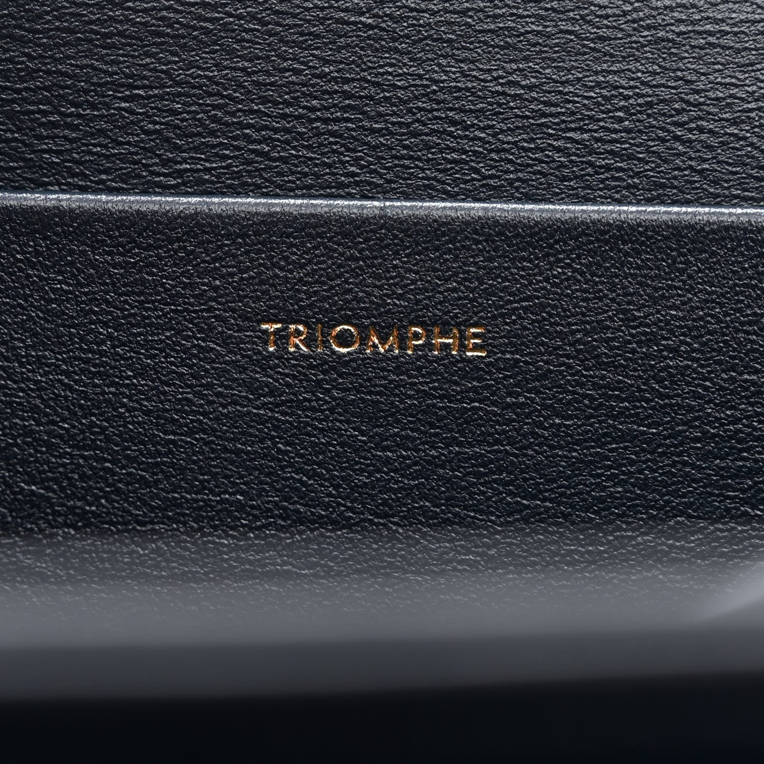 Celine Lizard Medium Triomphe Navy Blue 9 of 15