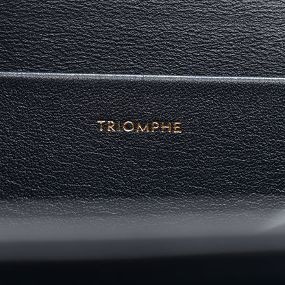 Celine Lizard Medium Triomphe Navy Blue 9 of 15