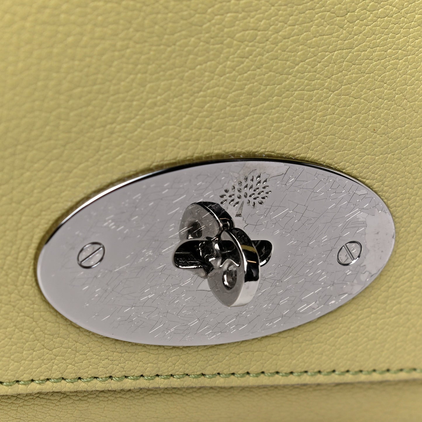 Glossy Goatskin Small Lily Flap Pistachio