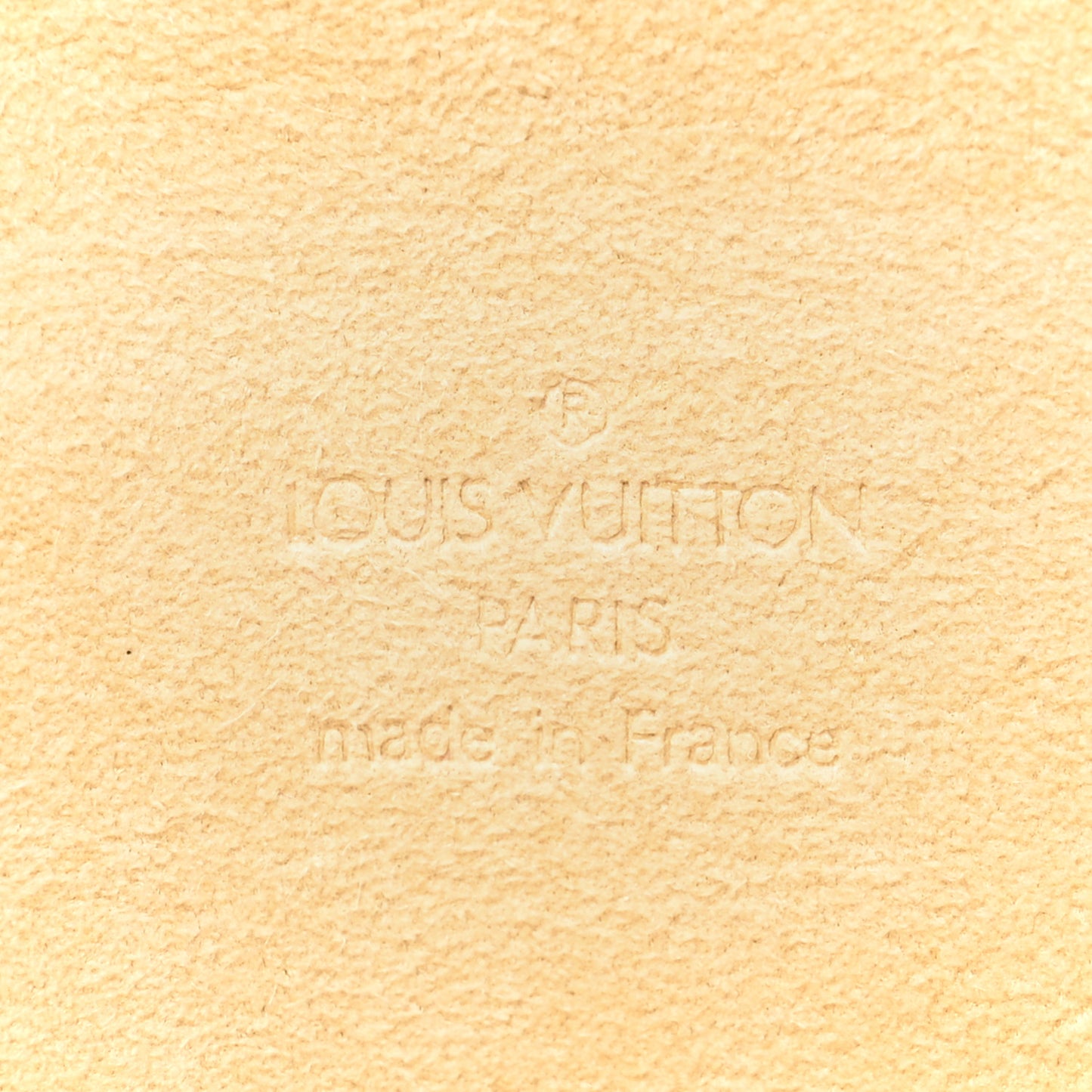 Monogram Pochette Florentine XS