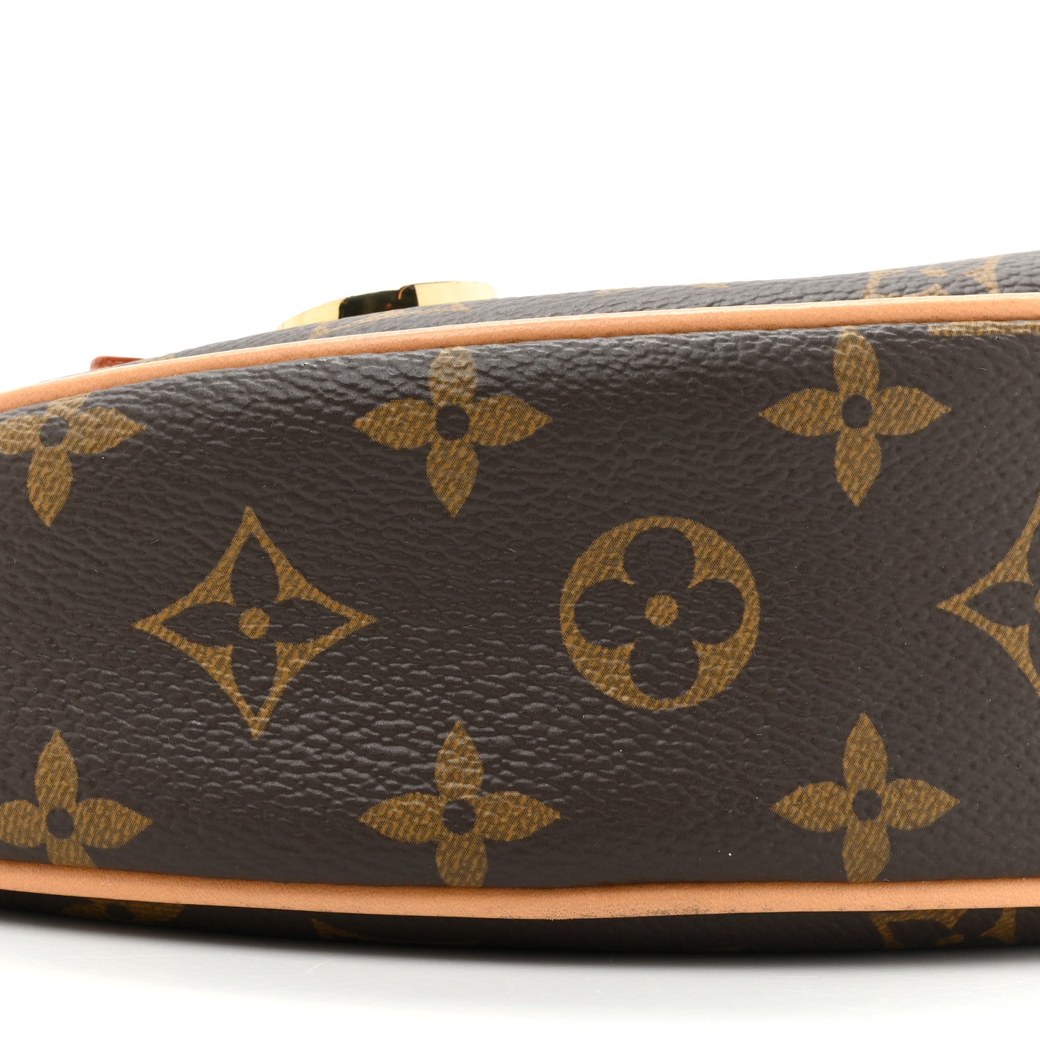 Louis Vuitton Monogram Loop 8 of 14